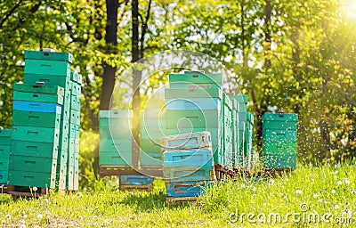 Aged Wooden Hives Stock Photo
