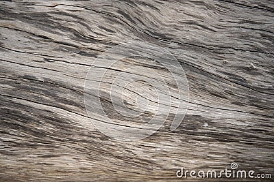 Aged wooden texture macro photo. Grey timber with weathered cracks. Natural background for vintage design. Stock Photo