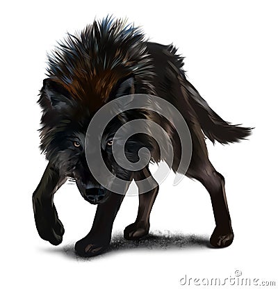 Aggressive black wolf watercolor painting Stock Photo