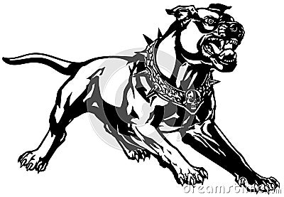 Aggressive dog wearing a spiked collar. Black and white Vector Illustration