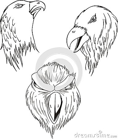 Aggressive eagle heads Vector Illustration