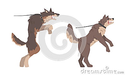 Aggressive Large Dog in Collar Baring Its Teeth in Angry Grin Vector Set Vector Illustration