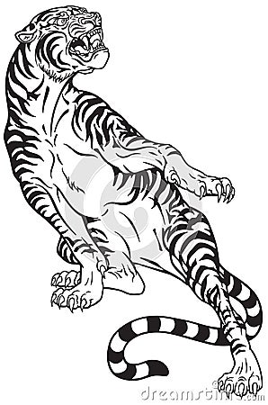 Aggressive tiger .Black and white tattoo Vector Illustration