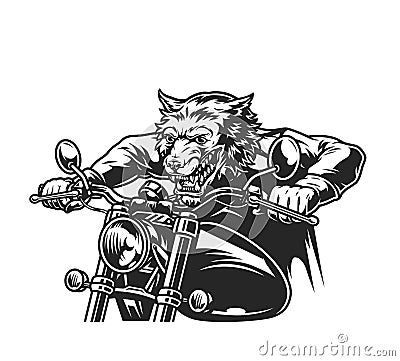Aggressive wolf head rider driving motorcycle Vector Illustration
