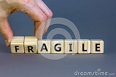Agile or fragile symbol. Concept words Agile and Fragile on wooden cubes. Beautiful grey table grey background. Businessman hand. Stock Photo