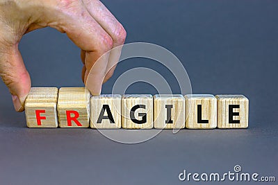 Agile or fragile symbol. Concept words Agile and Fragile on wooden cubes. Beautiful grey table grey background. Businessman hand. Stock Photo