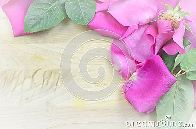 Aging bright pink rose petals forming a border on a rustic wooden background. Vintage filter added. Copy space available. Stock Photo