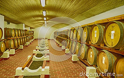 Oak barrels of wine in cellar Stock Photo