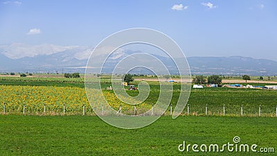 Agrarian landscape Stock Photo