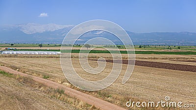 Agrarian landscape Stock Photo