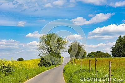 Agrarian fields and meadows with curved path, rural landscape in spring Stock Photo