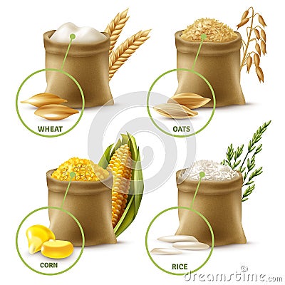 Agricultural Cereals Set Vector Illustration