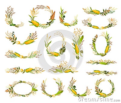 Agricultural Composition with Different Spikelet and Grain Crop Like Corn and Wheatear Big Vector Set Vector Illustration
