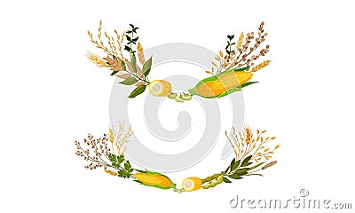 Agricultural Composition with Different Spikelet and Grain Crop Like Corn and Wheatear Vector Set Vector Illustration