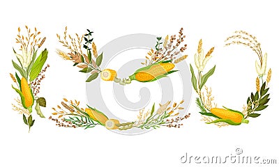 Agricultural Composition with Different Spikelets and Crops Like Corn and Wheatear Vector Set Vector Illustration