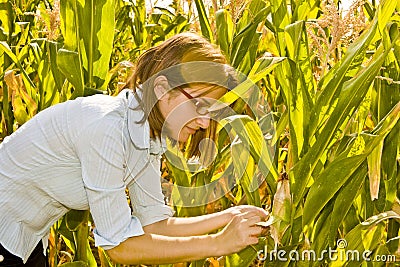 Agricultural engineer Stock Photo