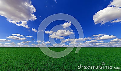 Agricultural field Stock Photo