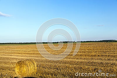 Agricultural field and blue sky Stock Photo