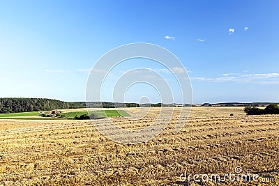 Agricultural field and blue sky Stock Photo