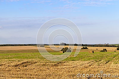 Agricultural field and blue sky Stock Photo