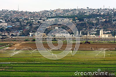 Agricultural field and Tijuana Stock Photo