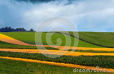 Agricultural fields on cloudy day Stock Photo