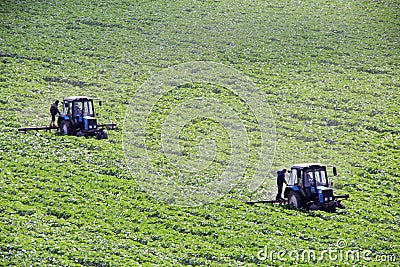 Agricultural fieldwork, two tractors weeding field Stock Photo