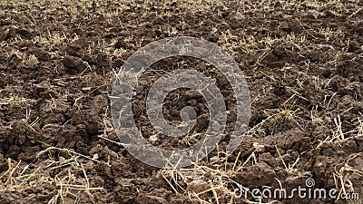 Agricultural Land Recently Plowed and Prepared for the Crop Stock Photo