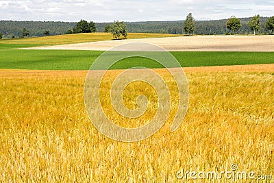 Agricultural landscape Stock Photo