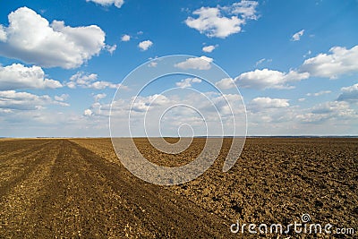 Agricultural landscape, arable crop field Stock Photo