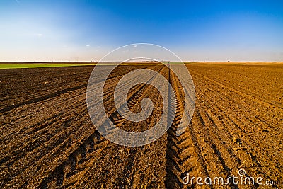 Agricultural landscape, arable crop field. Stock Photo