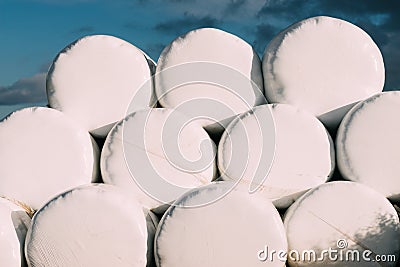 Bale of hay wrapped in plastic foil Stock Photo
