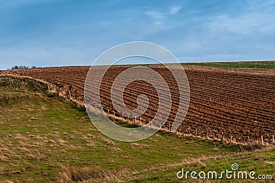 Agricultural Meadows and Ploughed/Plowed Field Stock Photo