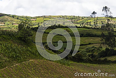 Agricultural meadows on rolling hills Stock Photo