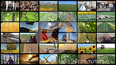 Agricultural Production Collage - Farming and Agricultural Jobs Stock Photo