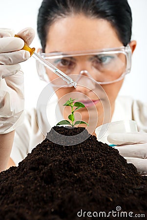 Agricultural scientist testing in laboratory Stock Photo