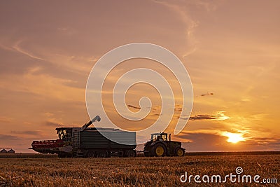 Agricultural Season Harvest Time, Colorful Dramatic Sky At Sunset Editorial Stock Photo