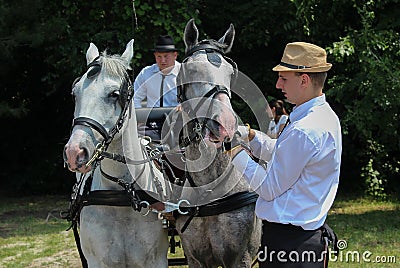 Novi Sad, Serbia, 20.05.2018 Fair, two coachman and two white horses Editorial Stock Photo