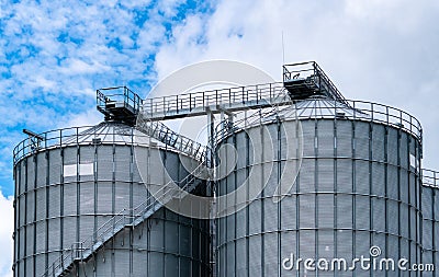 Agricultural silo at feed mill factory. Big tank for store grain in feed manufacturing. Seed stock tower for animal feed Stock Photo