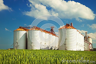 Agricultural silos under blue sky, in the fields Stock Photo