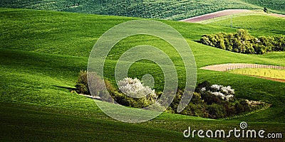 Agricultural vintage landscape Stock Photo