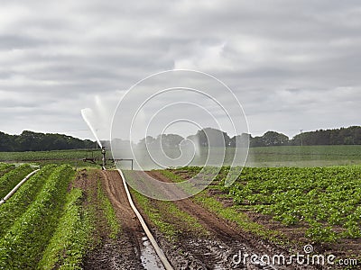 Agricultural water Cannons being used in the dry conditions experienced by Scottish Farmers. Stock Photo