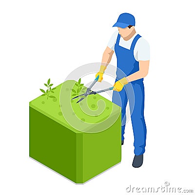 Agricultural work. Isometric gardener work on shrub, remove excess leave. Man hands cuts branches of bushes with hand Vector Illustration