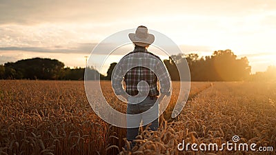 Agriculturalist man standing in yellow wheat field on sunset and looking at the harvest Stock Photo