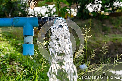 Agriculture blue pipe with groundwater gushing Stock Photo