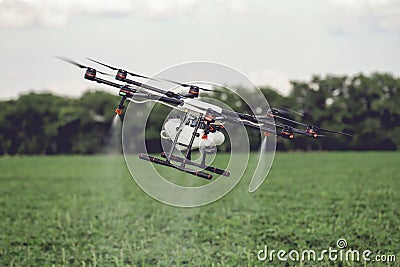 Agriculture drone fly to sprayed fertilizer on the rice fields. Stock Photo