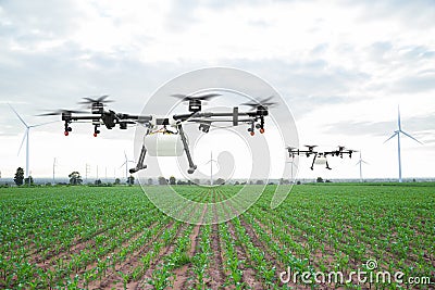 Agriculture drone flying on the green corn field Stock Photo