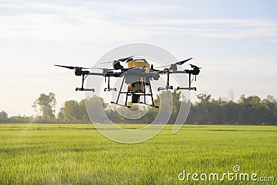 Agriculture drone flying and spraying fertilizer and pesticide over farmland,High technology innovations and smart farming Stock Photo