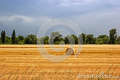 Agriculture farm field haystack calm landscape. Haystack roll on an agricultural field of central asia Stock Photo