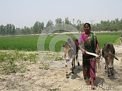agriculture farm field soil people person grass tree crop pasture phto Editorial Stock Photo